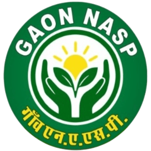 GAON NASP